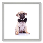 Quadro Decorativo - Pug - 70cm X 70cm - 007qnsdb