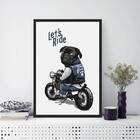 Quadro Decorativo Pug Let´s Ride 45x34cm - Com Vidro Moldura: