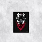 Quadro Decorativo Pug Motoqueiro 45x34cm A3 (45 X 34)