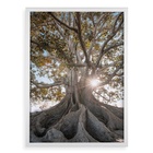 Quadro Decorativo Raízes - Árvore 24x18cm - Com Vidro Moldura