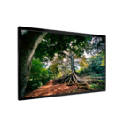 Quadro Decorativo Raízes Da Natureza