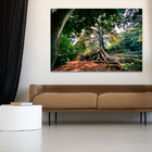 Quadro Decorativo Raízes Da Natureza