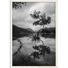 Quadro Decorativo Reflexo Preto E Branco I Sem Vidro Branco