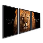 Quadro Decorativo Religioso Nunca Foi Sorte, Sempre Foi Deus