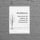 Quadro Decorativo Resiliência Definição 45x34cm - Com Vidro M