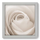 Quadro Decorativo - Rosa - 22cm X 22cm - 003qnfab