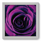 Quadro Decorativo - Rosa - 22cm X 22cm - 046qdfb