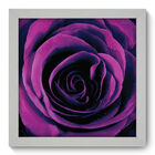 Quadro Decorativo - Rosa - 22cm X 22cm - 046qdfb