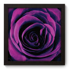 Quadro Decorativo - Rosa - 22cm X 22cm - 046qdfp