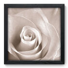 Quadro Decorativo - Rosa - 33cm X 33cm - 001qnfbp