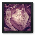 Quadro Decorativo - Rosa - 33cm X 33cm - 002qnfbp