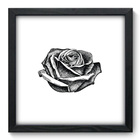 Quadro Decorativo - Rosa - 33cm X 33cm - 043qdfp