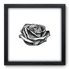 Quadro Decorativo - Rosa - 33cm X 33cm - 043qdfp