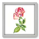 Quadro Decorativo - Rosa - 33cm X 33cm - 086qdfb