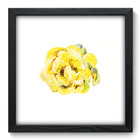 Quadro Decorativo - Rosa - 33cm X 33cm - 087qdfp