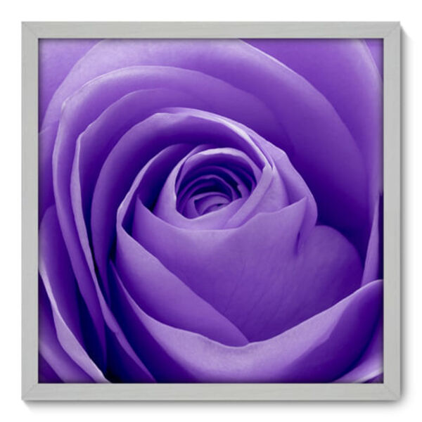 Quadro Decorativo - Rosa - 50cm X 50cm - 004qnfcb