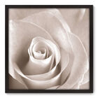 Quadro Decorativo - Rosa - 70cm X 70cm - 001qnfdp