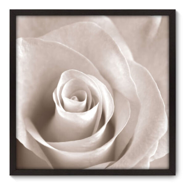 Quadro Decorativo - Rosa - 70cm X 70cm - 001qnfdp