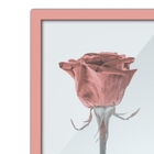 Quadro Decorativo Rosa Seca Com Moldura Metal Rose Gold