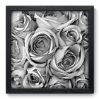 Quadro Decorativo - Rosas - 33cm X 33cm - 005qnfbp
