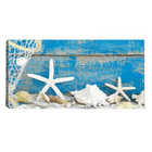 Quadro Decorativo Royal Nautico Praia Conchas Estrela Branca
