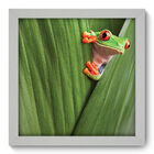 Quadro Decorativo - Sapinho - 22cm X 22cm - 012qdsb