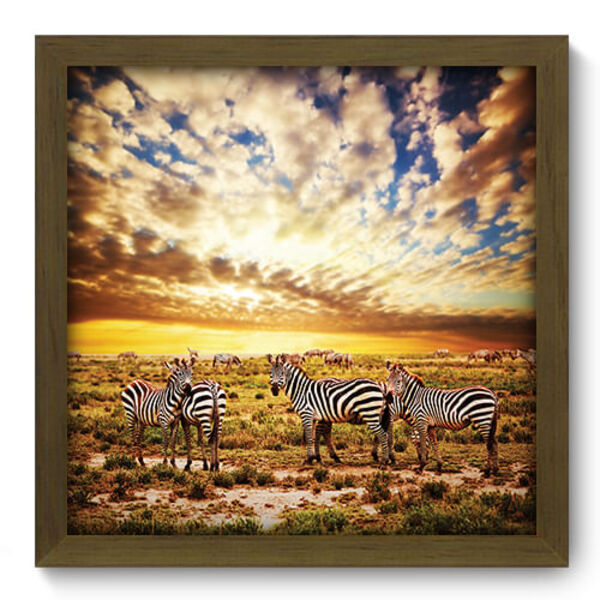 Quadro Decorativo - Savana - 33cm X 33cm - 052qdpm