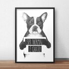 Quadro Decorativo Ser Normal É Chato 30x40cm Preto