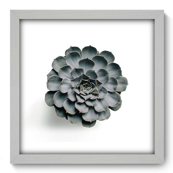 Quadro Decorativo - Suculenta - 33cm X 33cm - 077qndbb