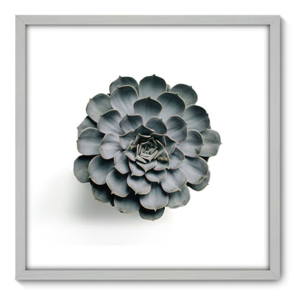 Quadro Decorativo - Suculenta - 70cm X 70cm - 077qnddb