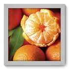 Quadro Decorativo - Tangerina - 22cm X 22cm - 128qdcb