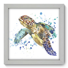 Quadro Decorativo - Tartaruga - 22cm X 22cm - 082qdsb
