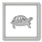 Quadro Decorativo - Tartaruga - 33cm X 33cm - 215qdsb