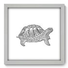 Quadro Decorativo - Tartaruga - 33cm X 33cm - 215qdsb