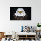 Quadro Decorativo Tela Canvas Animais Bald Eagle - 120x80 Cm