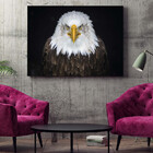 Quadro Decorativo Tela Canvas Animais Bald Eagle - 150x100 Cm