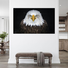 Quadro Decorativo Tela Canvas Animais Bald Eagle - 150x80 Cm