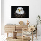 Quadro Decorativo Tela Canvas Animais Bald Eagle - 180x120 Cm