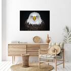 Quadro Decorativo Tela Canvas Animais Bald Eagle - 90x60 Cm