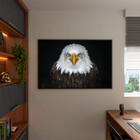 Quadro Decorativo Tela Canvas Animais Bald Eagle Com Moldura