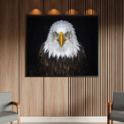 Quadro Decorativo Tela Canvas Animais Bald Eagle Com Moldura