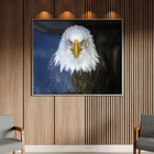 Quadro Decorativo Tela Canvas Animais Bald Eagle Com Moldura