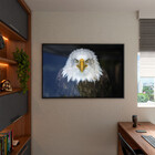 Quadro Decorativo Tela Canvas Animais Bald Eagle Com Moldura