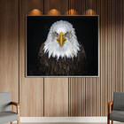 Quadro Decorativo Tela Canvas Animais Bald Eagle Com Moldura