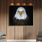 Quadro Decorativo Tela Canvas Animais Bald Eagle Com Moldura