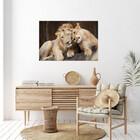 Quadro Decorativo Tela Canvas Animais Carinho De Leões - 150x