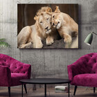 Quadro Decorativo Tela Canvas Animais Carinho De Leões - 150x