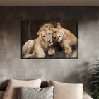 Quadro Decorativo Tela Canvas Animais Carinho De Leões Com Mo