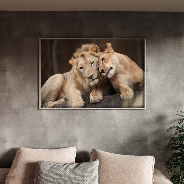 Quadro Decorativo Tela Canvas Animais Carinho De Leões Com Mo