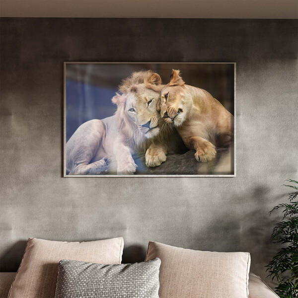 Quadro Decorativo Tela Canvas Animais Carinho De Leões Com Mo